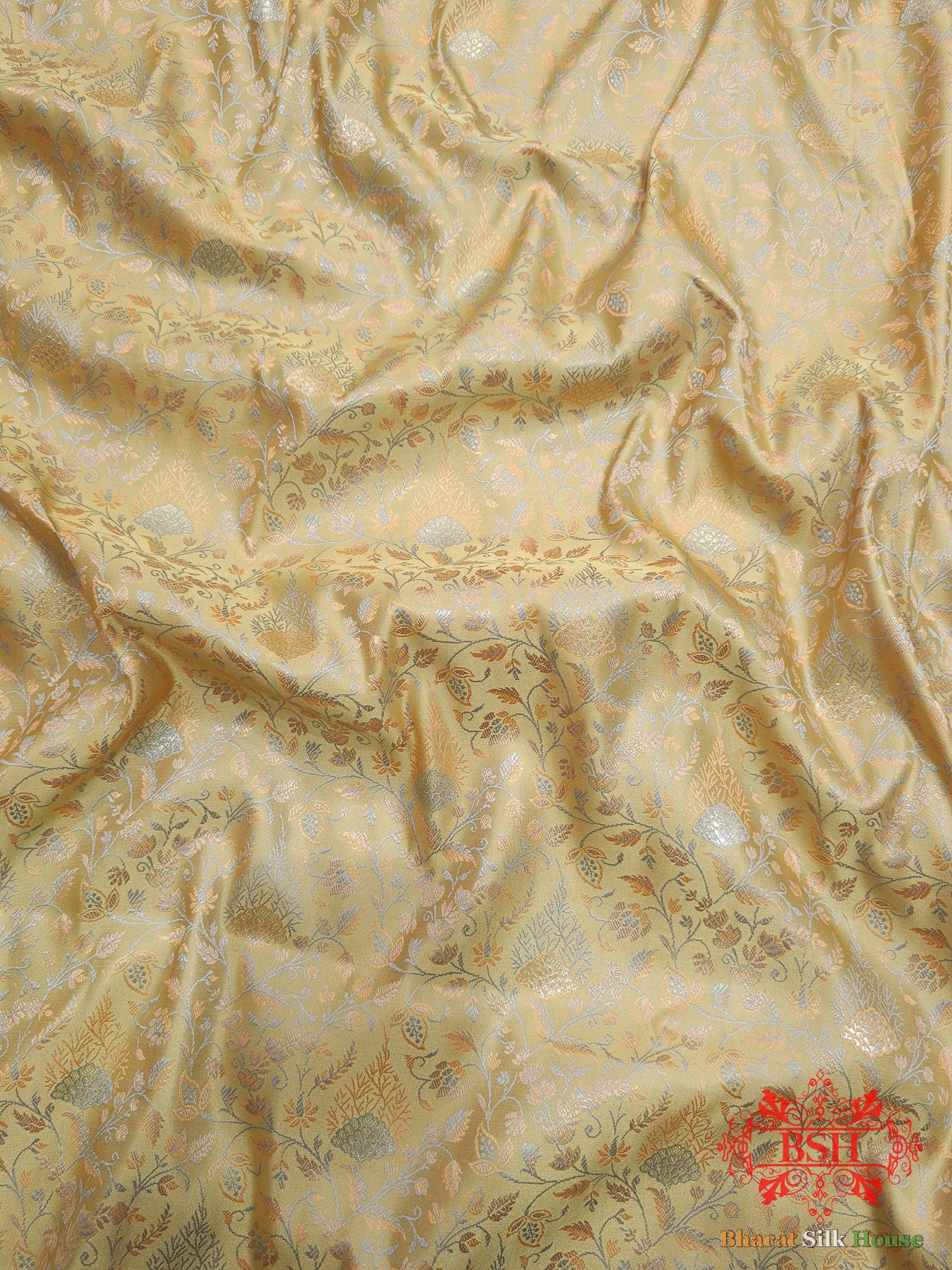 Beige Dohri Resham Zari Booti Tanchoi Silk Saree - Bharat Silk House