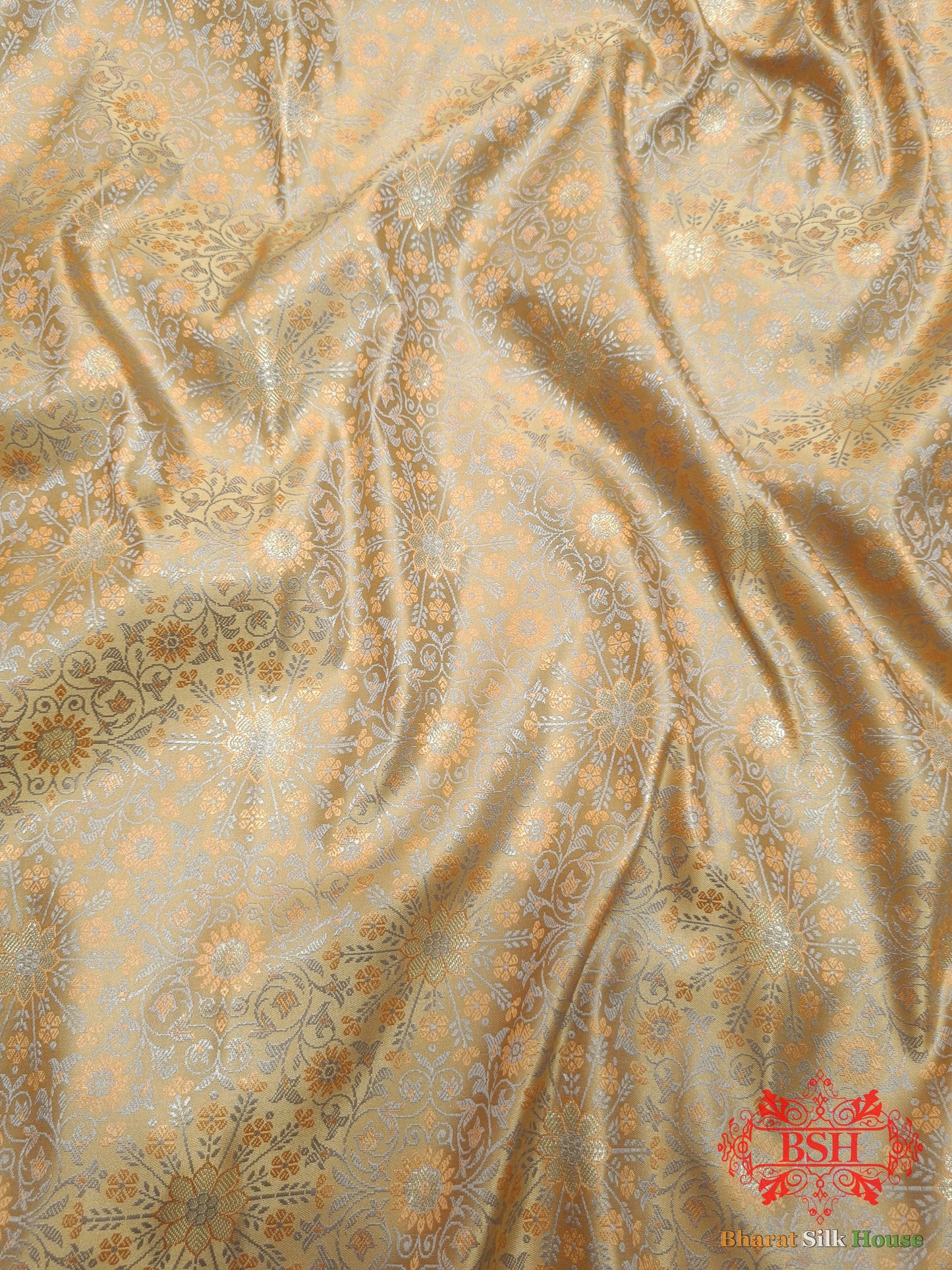 Beige Dohri Resham Zari Booti Tanchoi Silk Saree - Bharat Silk House