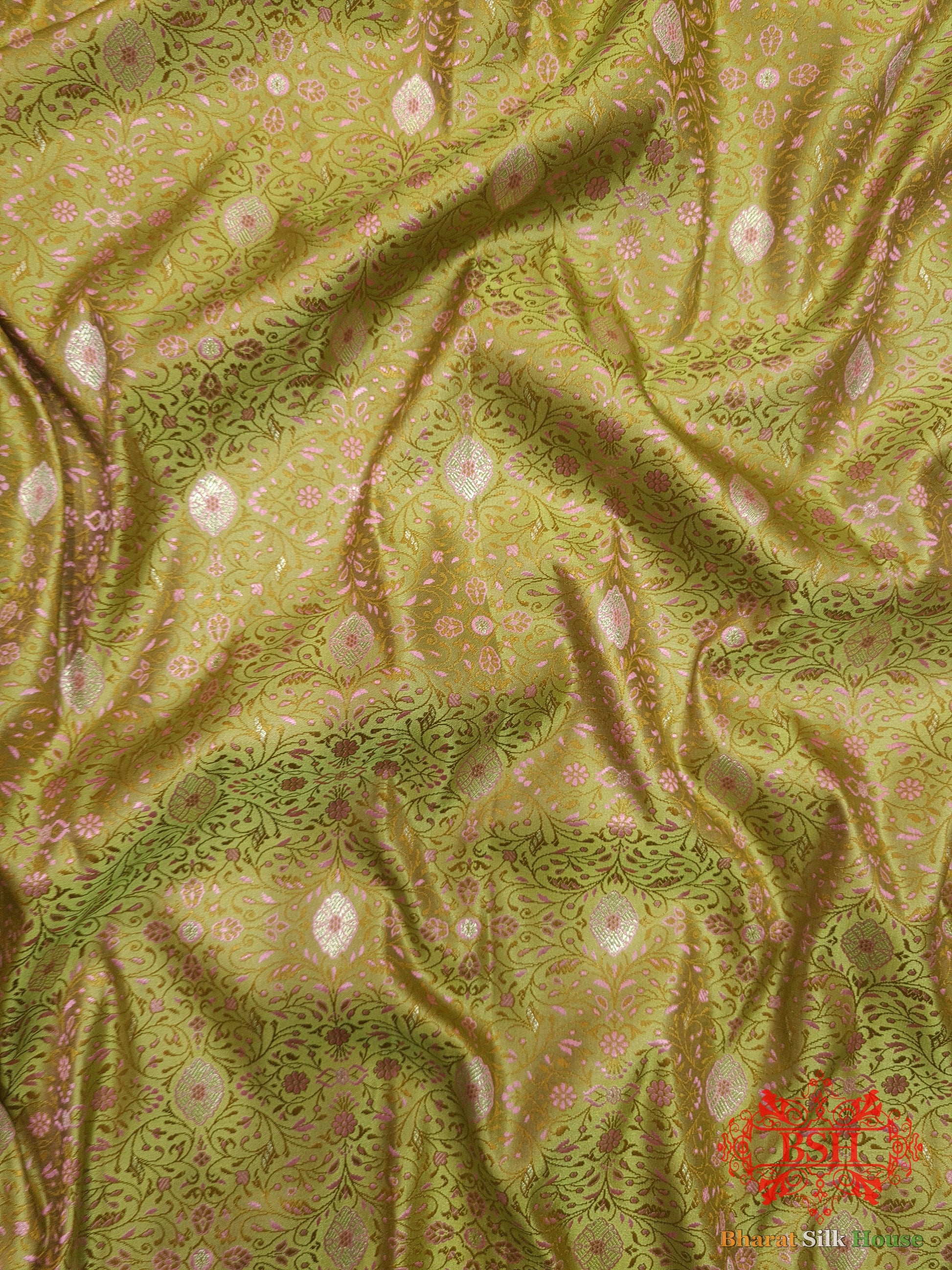 Shade Of Green Dohri Resham Zari Booti Tanchoi Silk Saree Tanchoi katan Bharat Silk House