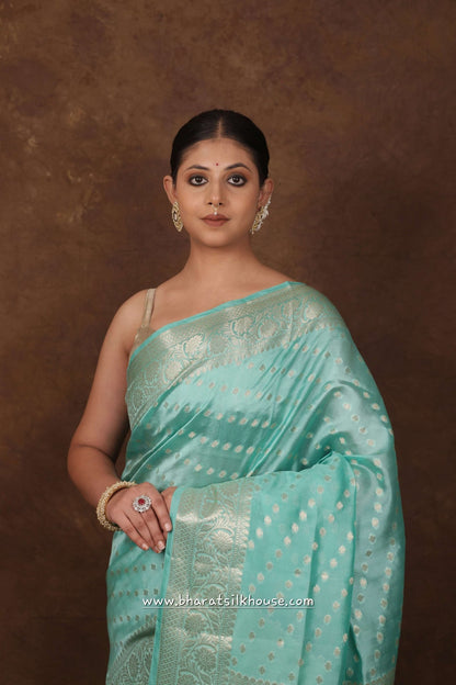 Shade Of Sea Green Pure Dupion Silk Saree - Bharat Silk House Dupion Silk