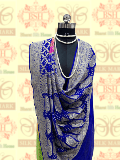 Ten Color Handbrush Dyed Pure Georgette Bandhej Banarasi Handloom Saree - Bharat Silk House Bandhej