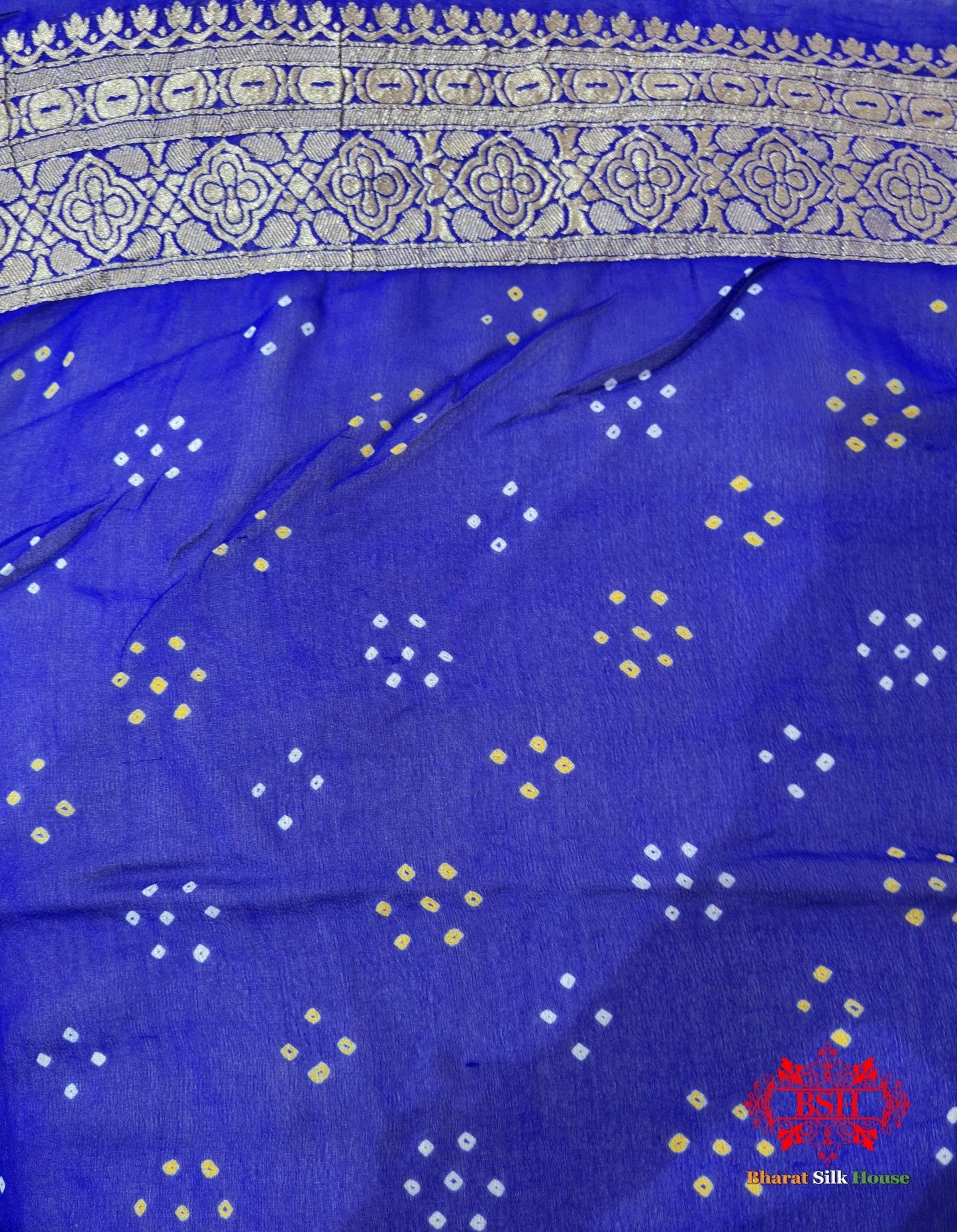 Ten Color Handbrush Dyed Pure Georgette Bandhej Banarasi Handloom Saree - Bharat Silk House Bandhej